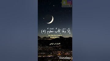 القارئ ياسر الزيلعي/سورة الحجر/💗