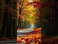 Most Beautiful Place On Earth | #shorts #beautiful #nature #love #beautifulworld