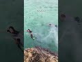 #family  #diving #amazing #summer #shortvideo #island #life #beautiful #spectacular #mindanao #wow