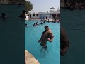 The mat is gone, but the fight remains. This is a water-based battle!!! #wwe #fight #waterpark #bhai