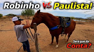 ROBINHO SELANDO O CAVALO PAULISTA - ensinando meu filho selar o cavalo da maneira correta confiram.