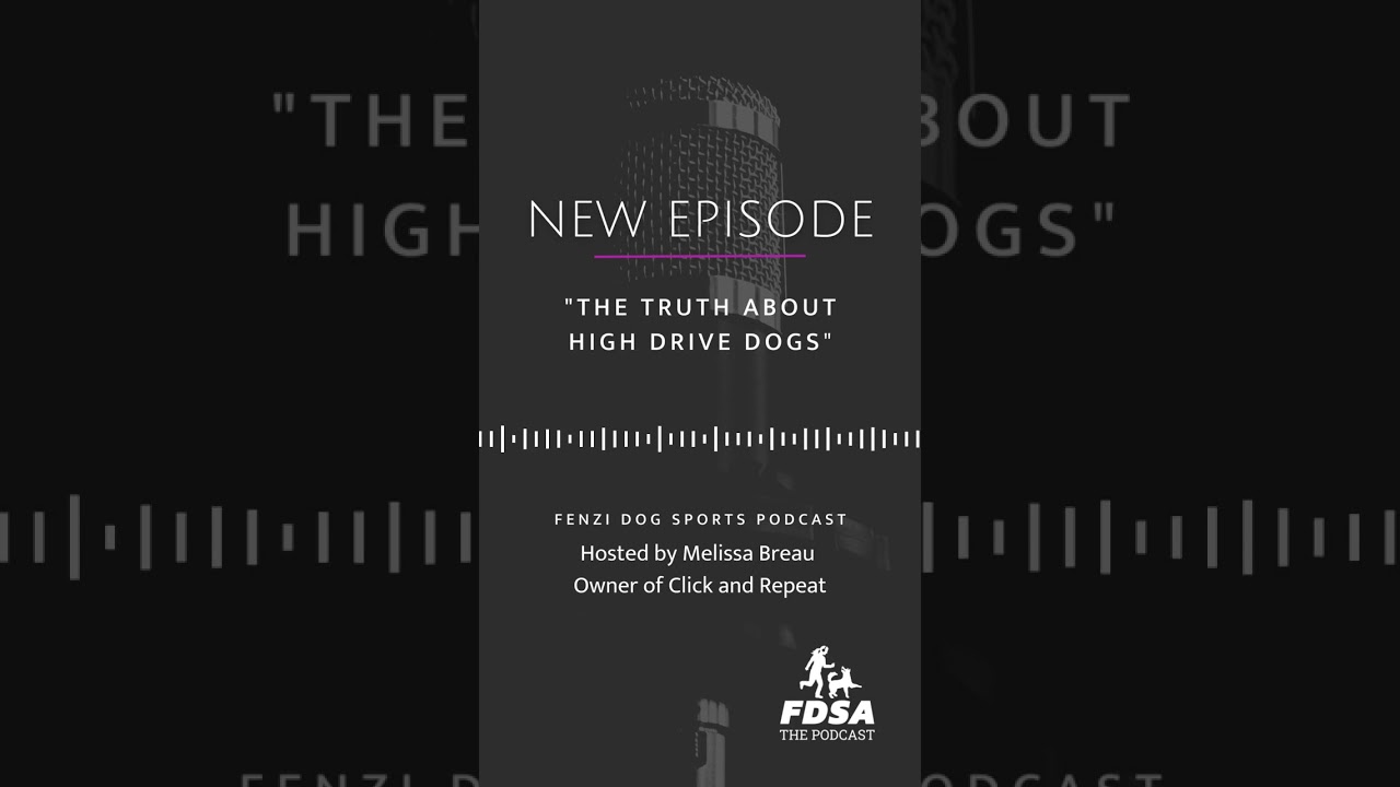 The Truth About High Drive Dogs