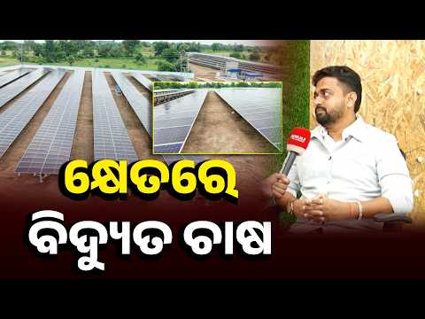 ମରୁଡି କି ବାତ୍ୟାର ଆଉ ଭୟ  ନାହିଁ ଧାନ ମୁଗ ଚାଷ ବାଦେ ହୋଇପାରିବ ବିଦ୍ୟୁତ ଚାଷ #knewsodisha