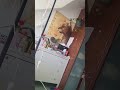 церковь Деяния
