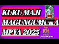 KUKU MAJI FT NELEMI MBASADO MAGUNGUMUKA LIMBU MPYA 2025 Msambazaji Kanyengele Ntemi 0615306899