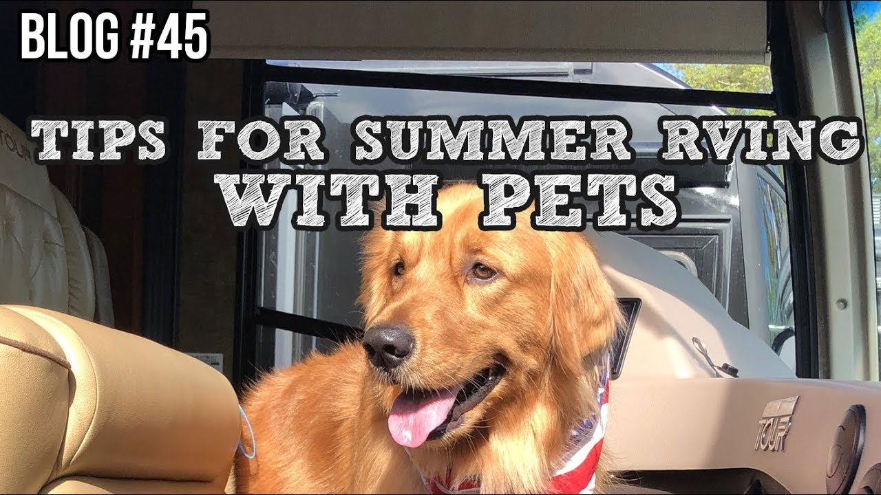 RV Blog - Tips For Summer RVing With Pets