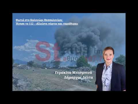 Γερακίνα Μπισμπινά - Δήμαρχος Δέλτα