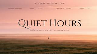 Quiet Hours - Classical Music for Working Better Alone screenshot 3