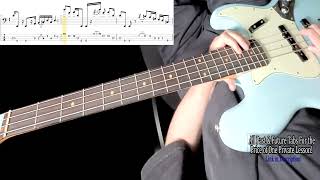 Willie Weeks Bass Solo-Everything is Everything (Live)-Bass Lesson/Tab