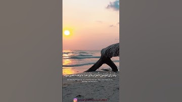 قاسم أحمد سورة الأحزاب