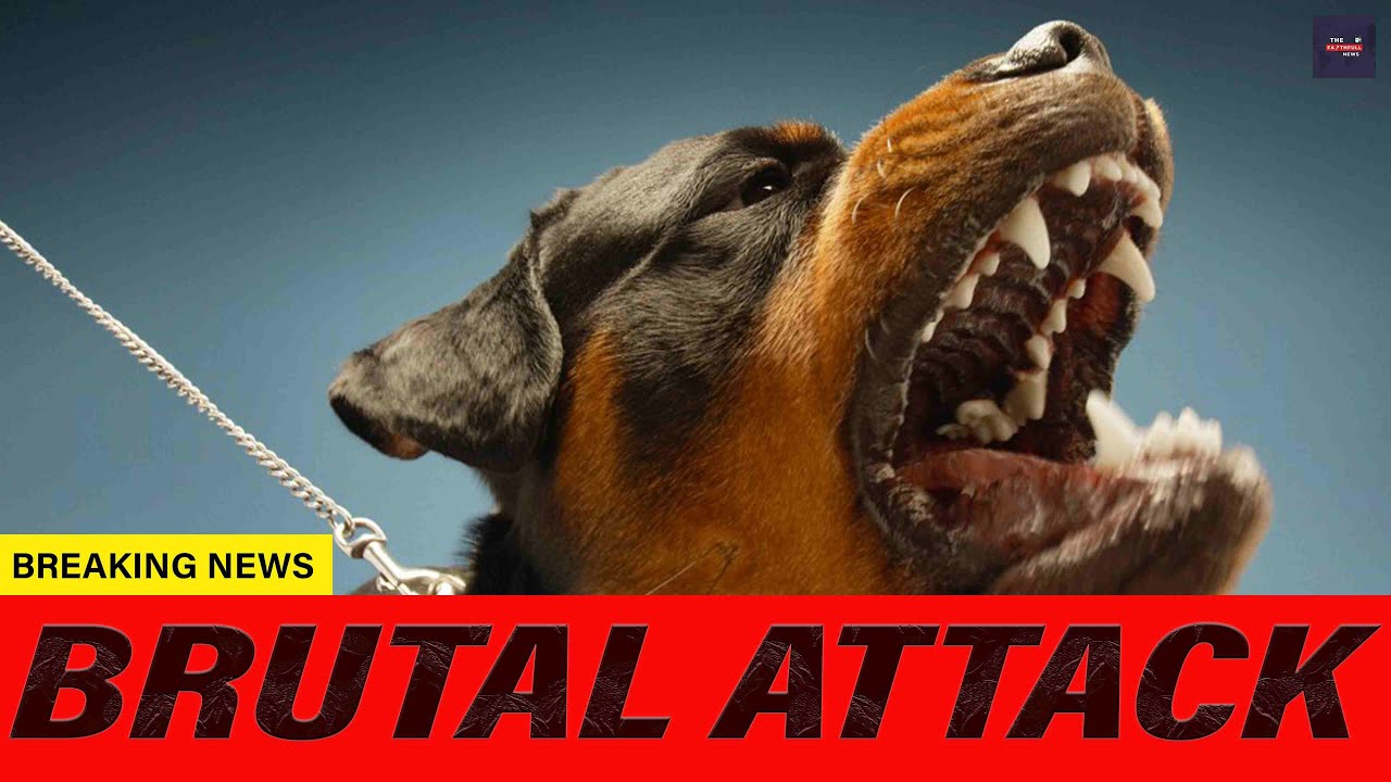 Woman, 40, dies after two Rottweiler dogs savaged her arms and legs ...