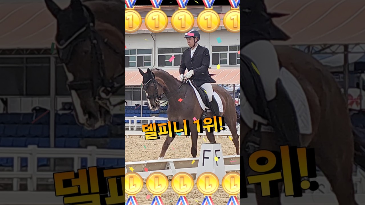 델피니 일등🎉🎉🥇🥇👏👏 #은퇴경주마승마대회 #마장마술 #F클래스 #정주영선수