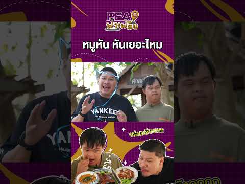 หมูหัน   หันเยอะไหม #PEAพาเพลิน #บริษัทฮาไม่จำกัด #อ๊อดปากดี #นุ้ยเชิญยิ้ม #จตุรงค์