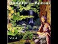 Oliver Shanti & Friends   Buddha and Bonsai Vol.4