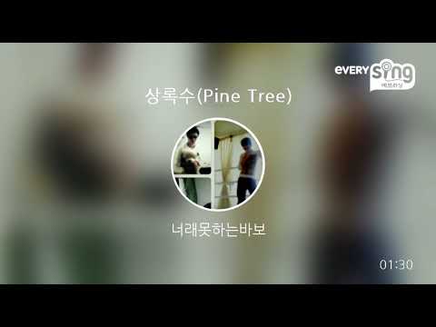 [everysing] 상록수(Pine Tree)