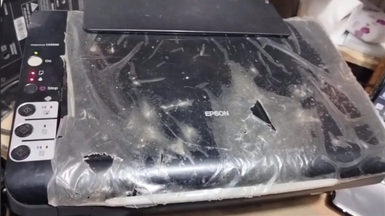 ضوء الحبر و الورق ثابت لطابعة ابسون epson cx4300 reset 