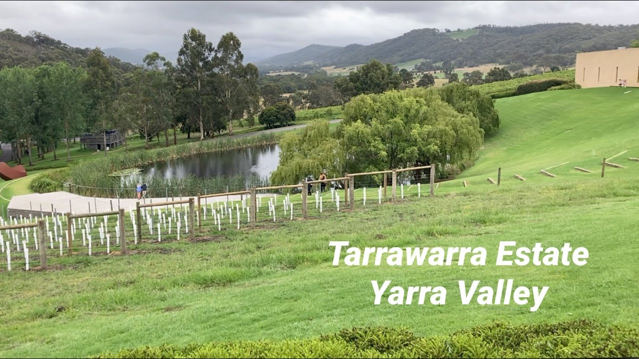 HEALESVILLE Tarrawarra Estate & Yarra Valley Dairy YouTube