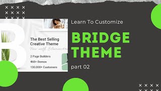 Bridge Theme Customization (part 02) | Theme Option | Codershub-BD