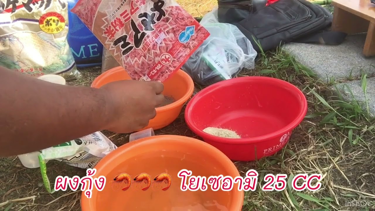 แนะนำการผสมเหยื่อญี่ปุ่น🇯🇵มารูคิว+ไฮเกรดไทย🇹🇭ครับ