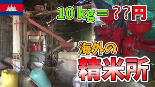 乾燥はお日様任せ！カンボジアのローカル精米所では古そうな機械がせっせと動いてた【カンボジア農業】