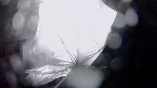 9호태풍 마이삭 경북 영양 석보면 관곡리 밤 02~03시 상황!! Typhoon Maisak!
