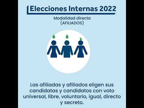 Elecciones Internas 2022