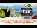 Spill the Tea Episode 6: Chaos in the Senate, Crisis in the Farms, Tragedy in Natonin.