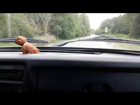 The owner of a Niva was shocked after they flashed it.
