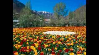 Shahram Nazeri - Jewel Of Love