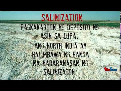 Mga Suliraning Pangkapaligiran Youtube