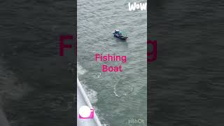 compilation of BIG MEGA CONTAINER SHIP #Shorts 1093