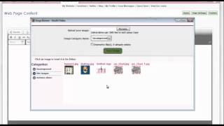 Add Website Content