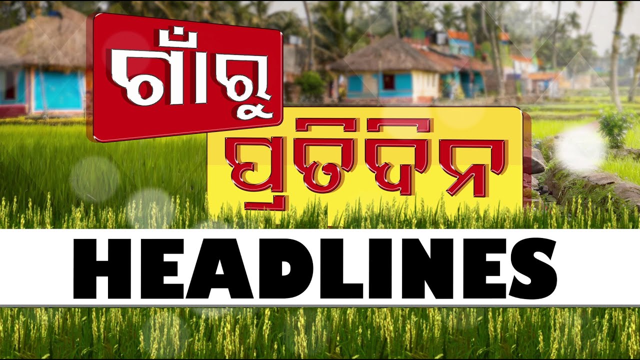 Gaon Ru Pratidin Headlines | 8PM Headlines | 25th May 2025 | Odisha TV