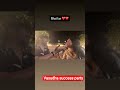 Priya Thakur / vasu masti with karishma / manmohan tiwari/ at vasudha success party / #party