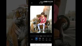 Tiger photo editing // pickart .. adobeLiteroom screenshot 3