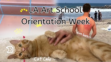 la art school orientation week // otis college //cat cafe, beach, sunburn