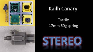 Kailh Canary Switch Stereo Sound Test, Stock Lubed Filmed Tapping Typing screenshot 5