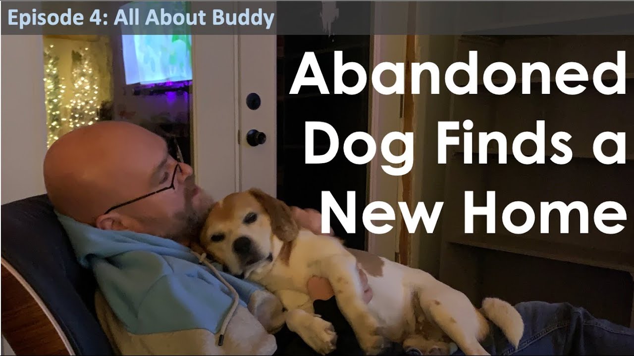 Episode 4: Abandoned Dog Finds a New Home - YouTube
