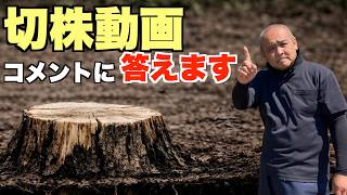 シロアリを寄せ付けない切株処理、分解ではなく風化