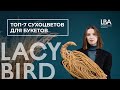 ТОП 7 СУХОЦВЕТОВ ДЛЯ БУКЕТОВ