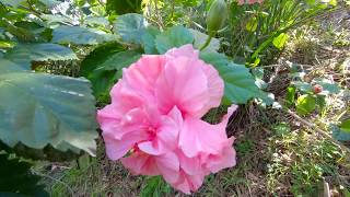 25-27 Balfour Road, Austinmer