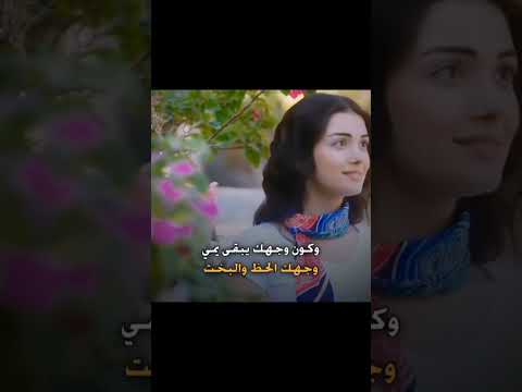 كون لو كلبك يلين ياعشك كل السنين