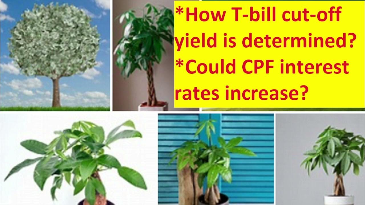 How is Tbill cutoff yield determined? Could CPF interest rates go up