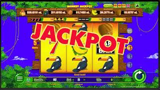 Monkey Jackpot win! screenshot 5