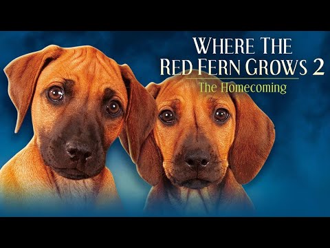 WHERE THE RED FERN GROWS: PART TWO