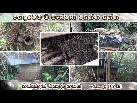 Top 5 easy swarm trap | How to make swarm trap | මී මැසි රුකුල්