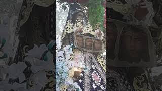 Carcar Friday 7, 2023