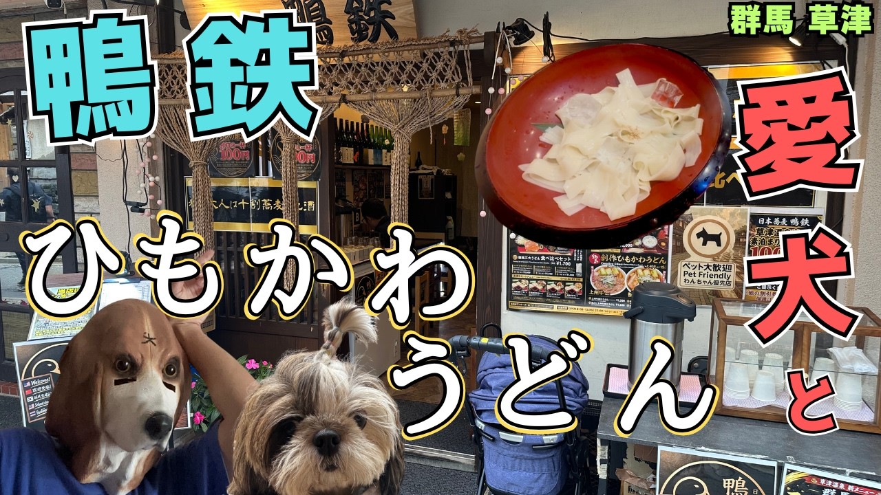 Dog-Friendly Dining! Enjoy Himokawa Udon and Exquisite Gourmet