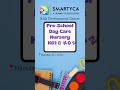 🎓 New Batches Open at Smartyca #shorts