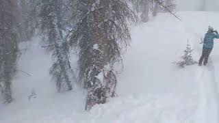 Aftermath of Storm Slab Avalanche